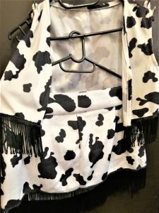 Kids Costumes to Hire - Cowgirl - Waistcoat & skirt